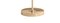 Brass 01 Floor Lamp Dimmable 160 by Magic Circus Editions 3