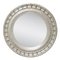 Neoclassical Empire Style Silver Mirror in Hand-Carved Wood 1
