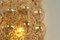 Amber Bubble Glass Sconce by Helena Tynell for Limburg, Germany 8