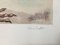 Acquerello su carta, dipinti di animali, XX secolo, set di 2, Immagine 10