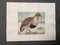 Animal Paintings, 20th-Century, Watercolor on Paper, Set of 2 7