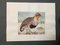Animal Paintings, 20th-Century, Watercolor on Paper, Set of 2, Image 7