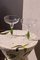 Cactus Mania Margarita Glass from Casarialto, Set of 4 2