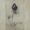 Natura morta, inizio XX secolo, matita su carta, Immagine 3