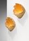 Large Shell Wall Lights by Serge Roche, 1940s, Set of 2 7