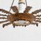 Mid-Century Modern Brass Sunburst Ceiling Lamp, Image 12