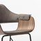 Showtime Chair by Jaime Hayon for Bd Barcelona 5