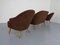 German Cocktail Sofa and Chairs, 1960s, Set of 3 4