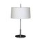 Table Lamp by Miguel Mila for Santa & Cole, 1990s, Image 1