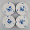Antique Meissen Dinner Plates in Hand-Painted Porcelain, Set of 12 3