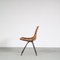 Dining Chair by Dirk van Sliedregt for Rohé, the Netherlands, 1950s 4