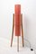 Mid-Century Czechoslovakian Rocket Floor Lamp, 1950s, Image 6