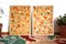 Natalia Roman, Tangerine Terrazzo Bloom, 2022, Diptych on Watercolor Paper, Image 4