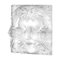 Decorative Woman’s Mask Motif by Lalique, France 2