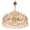 German Crystal & Gilt Brass Bubble Chandelier from Palwa, 1960 2