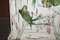 Table d'Appoint Perroquets / Oiseaux de Paradis Peints à la Main, Set de 2 7