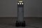 WWF Tower Floor Lamp by Andrea Lera & Matteo Thun for Bieffeplast, 1980s 4