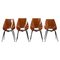 Mid-Century Modern Dining Chairs from Società Compensati Curvati, 1950s, Set of 4 1