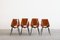 Mid-Century Modern Dining Chairs from Società Compensati Curvati, 1950s, Set of 4, Image 2