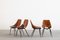 Mid-Century Modern Dining Chairs from Società Compensati Curvati, 1950s, Set of 4, Image 3