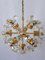 Mid-Century Modern Sputnik Chandelier or Pendant Lamp from Palwa, 1960s, Image 3