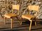Mid-Century Bentwood Children Chairs, Set of 2, Image 13