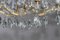 Lampadario in cristallo nello stile di Maria Theresia, anni '50, Immagine 3