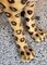 Ceramic Leopard Statue, Image 11
