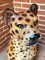 Ceramic Leopard Statue 8
