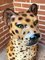 Ceramic Leopard Statue, Image 8