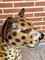 Ceramic Leopard Statue, Image 10