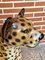Keramik Leopard Statue aus Keramik 10