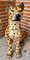 Estatua de leopardo de cerámica, Imagen 9