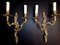 Louis XVI Style French Gilded and Chiseled Bronze Wall Sconces, Set of 2 13