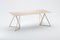 Ash Steel 200 Stand Table by Sebastian Scherer, Image 8