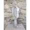 Tom Von Kaenel, scultura della natura, marmo intagliato a mano, Immagine 6