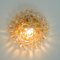 Bubble Flush Mount Sconce in Amber by Helena Tynell for Glashütte Limburg, 1960s, Image 3