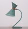 Metall Tischlampe von Mathieu Mategot, 1950er 9