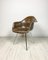 Seal-Brown Dax Fiberglass Armchair attributed to Charles & Ray Eames for Herman Miller, 1980s, Image 1