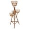 Mid-Century Central European Wicker Plant Stand, 1960s, Image 1