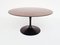 Round Black Tulip Dining Table in Tobacco Stained Oak by Eero Saarinen for Knoll Inc. / Knoll International, USA, 1957 2