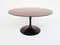 Round Black Tulip Dining Table in Tobacco Stained Oak by Eero Saarinen for Knoll Inc. / Knoll International, USA, 1957, Image 2