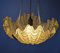 French Art Deco Conchiglie Wall Lamp, 1930s 4