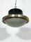 Pendant Lamp by Sergio Mazza, 1960s, Image 12