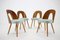 Czechoslovakian Dining Chairs by Antonin Suman, 1960s, Set of 4, Image 2
