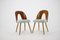 Czechoslovakian Dining Chairs by Antonin Suman, 1960s, Set of 4 3