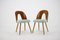 Czechoslovakian Dining Chairs by Antonin Suman, 1960s, Set of 4, Image 3