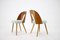 Czechoslovakian Dining Chairs by Antonin Suman, 1960s, Set of 4 7