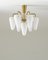Chandelier in Brass and Glass by Hans-Agne Jakobsson 2