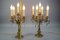 Französische Louis XVI Stil Kandelaber Tischlampen aus Bronze & Kristallglas, 2er Set 18